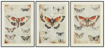 Jossletts Wall Art (Set of 3)