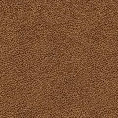 Emilia Sectional